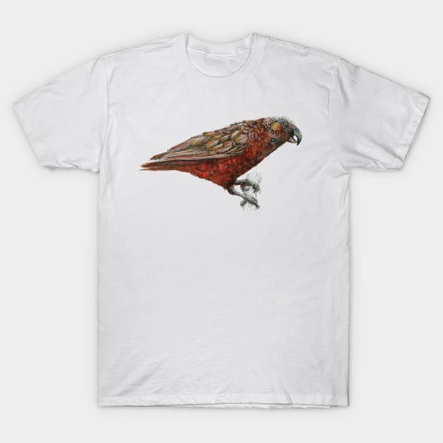 Mr Kaka, New Zealand native parrot T-Shirt by EmilieGeant